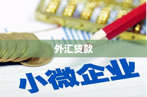 洪洞外汇贷款