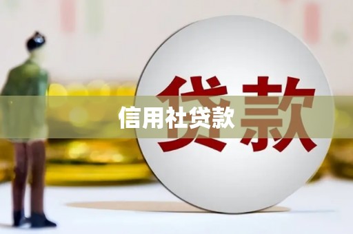 洪洞信用社贷款