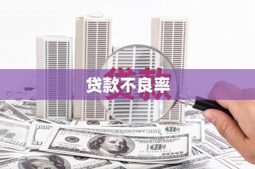 洪洞贷款不良率