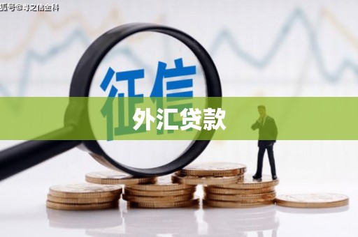 洪洞外汇贷款