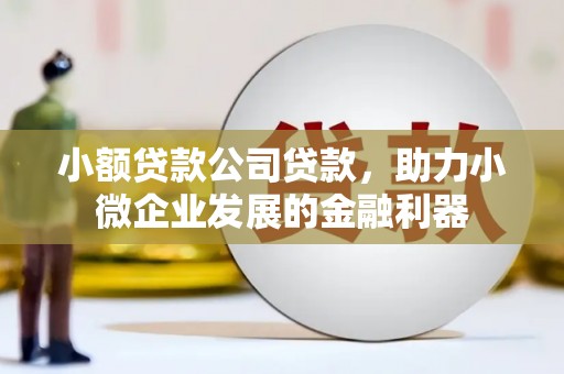 洪洞小额贷款公司贷款，助力小微企业发展的金融利器