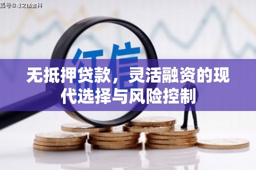 洪洞无抵押贷款，灵活融资的现代选择与风险控制