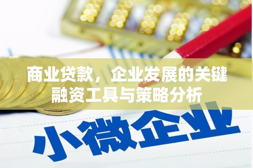 洪洞商业贷款，企业发展的关键融资工具与策略分析