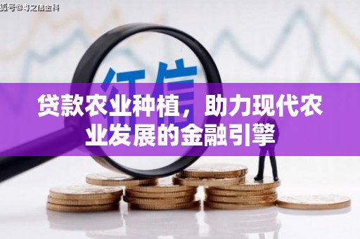 洪洞贷款农业种植，助力现代农业发展的金融引擎