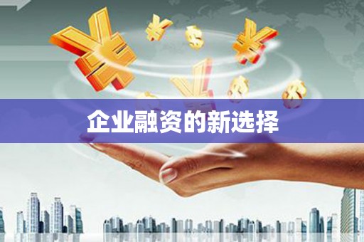 洪洞企业融资的新选择