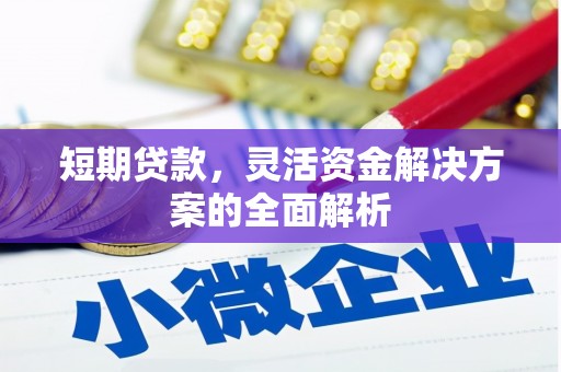 洪洞短期贷款，灵活资金解决方案的全面解析
