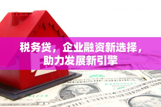 洪洞税务贷，企业融资新选择，助力发展新引擎