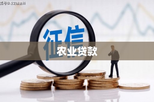 洪洞农业贷款