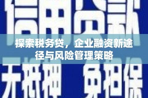 洪洞探索税务贷，企业融资新途径与风险管理策略