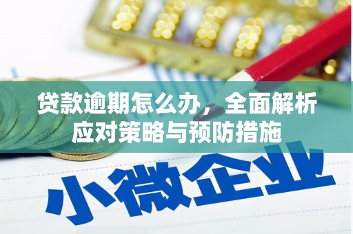 洪洞贷款逾期怎么办，全面解析应对策略与预防措施