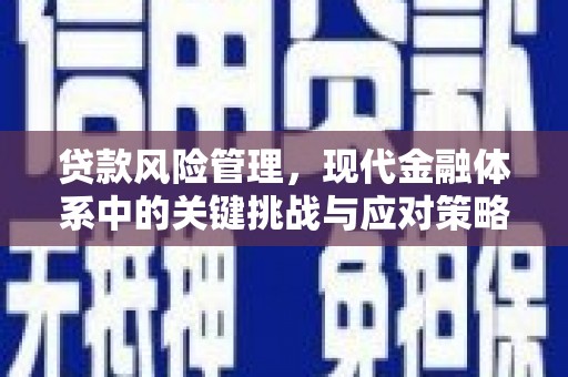 洪洞贷款风险管理，现代金融体系中的关键挑战与应对策略