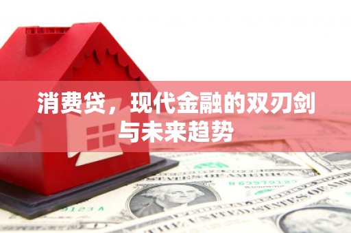 洪洞消费贷，现代金融的双刃剑与未来趋势