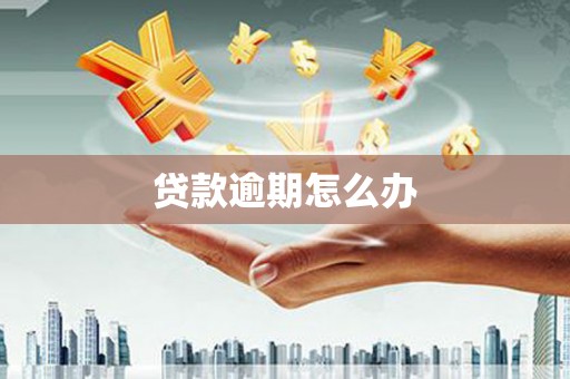 洪洞贷款逾期怎么办