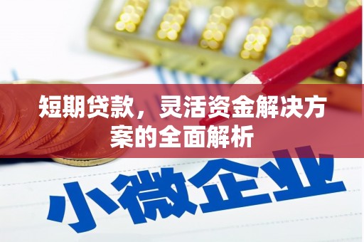 洪洞短期贷款，灵活资金解决方案的全面解析