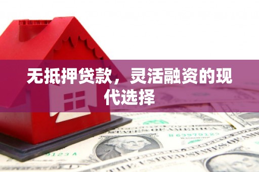 洪洞无抵押贷款，灵活融资的现代选择