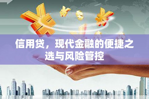 洪洞信用贷，现代金融的便捷之选与风险管控
