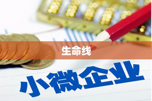 洪洞生命线