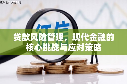 洪洞贷款风险管理，现代金融的核心挑战与应对策略