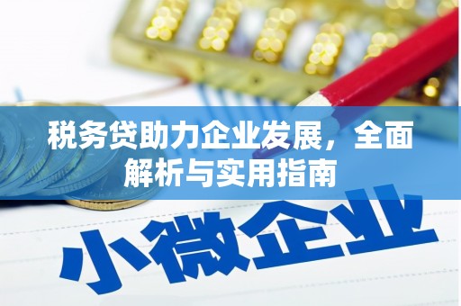洪洞税务贷助力企业发展，全面解析与实用指南
