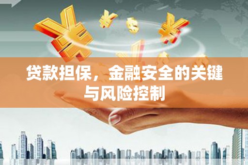 洪洞贷款担保，金融安全的关键与风险控制