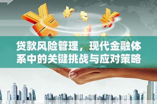 洪洞贷款风险管理，现代金融体系中的关键挑战与应对策略