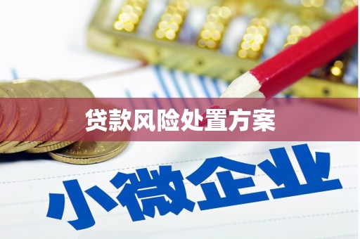 洪洞贷款风险处置方案