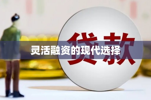 洪洞灵活融资的现代选择
