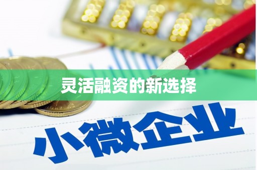 洪洞灵活融资的新选择