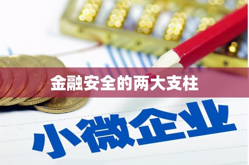 洪洞金融安全的两大支柱