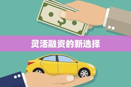洪洞灵活融资的新选择