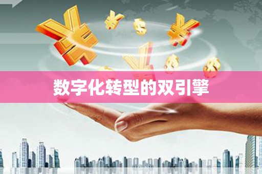 洪洞数字化转型的双引擎