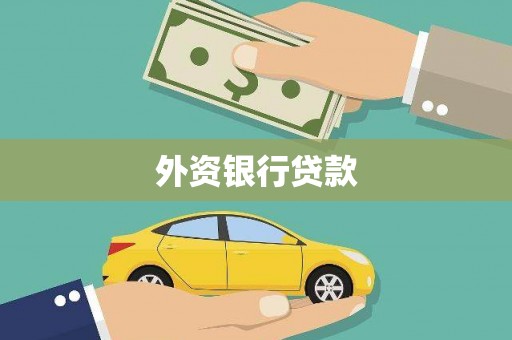 洪洞外资银行贷款