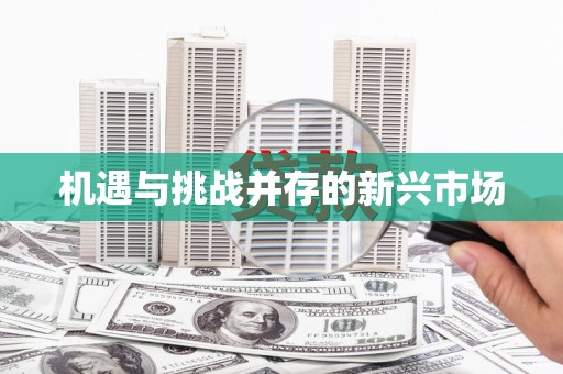 洪洞机遇与挑战并存的新兴市场