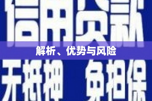 洪洞解析、优势与风险