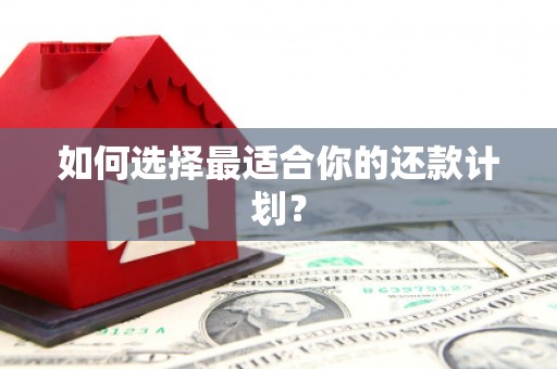 洪洞如何选择最适合你的还款计划？