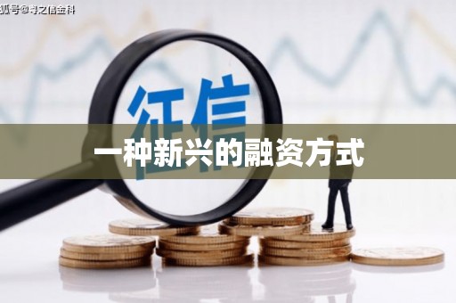 洪洞一种新兴的融资方式