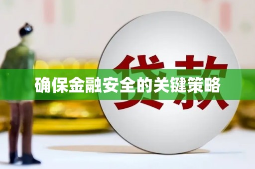 洪洞确保金融安全的关键策略