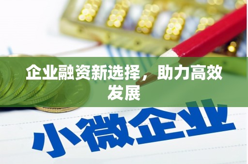 洪洞企业融资新选择，助力高效发展