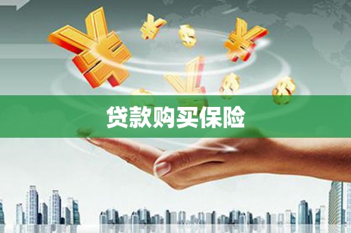 洪洞贷款购买保险