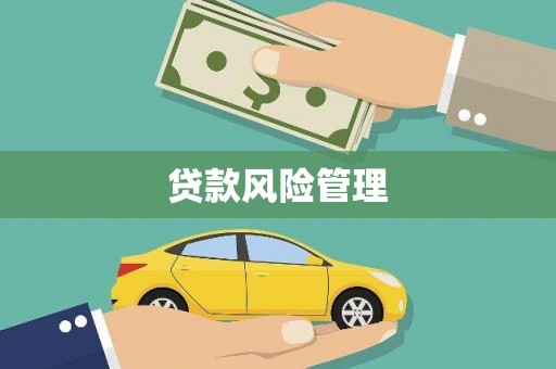 洪洞贷款风险管理