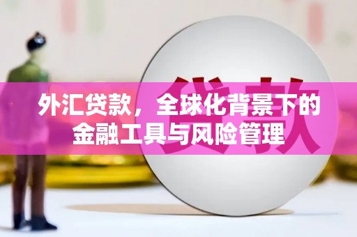洪洞外汇贷款，全球化背景下的金融工具与风险管理