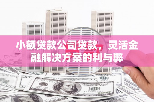 洪洞小额贷款公司贷款，灵活金融解决方案的利与弊