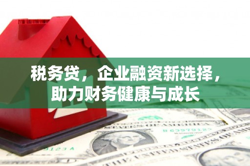 洪洞税务贷，企业融资新选择，助力财务健康与成长