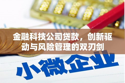 洪洞金融科技公司贷款，创新驱动与风险管理的双刃剑